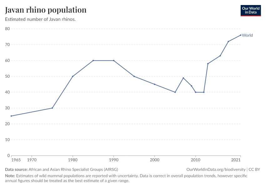 Javan rhino population