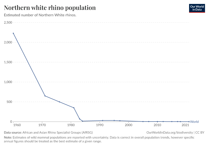Northern white rhino population